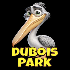 Dubois Park Pelican - Image 1