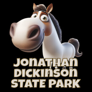 Jonathan Dickinson State Park Horse - Image 1