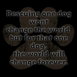 Rescuing One Dog - Image 1